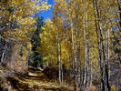 photo thumbnail #7