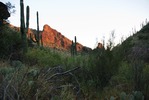 photo thumbnail #5