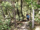 photo thumbnail #14