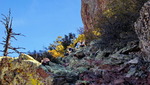photo thumbnail #12