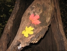 photo thumbnail #10