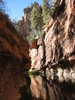 photo thumbnail #15