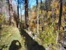 photo thumbnail #6