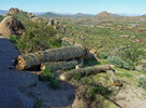 photo thumbnail #2