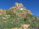 photo thumbnail #11