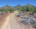 photo thumbnail #1