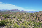 photo thumbnail #4