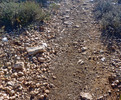photo thumbnail #15