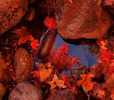 photo thumbnail #7
