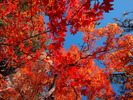 photo thumbnail #11