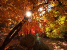 photo thumbnail #9