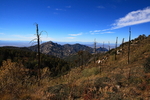photo thumbnail #3
