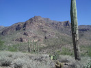 photo thumbnail #7