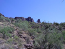 photo thumbnail #14