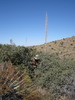 photo thumbnail #4