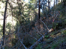 photo thumbnail #15