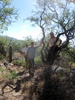 photo thumbnail #3