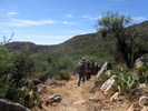 photo thumbnail #7