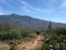 photo thumbnail #8