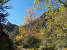 photo thumbnail #7