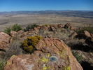 photo thumbnail #5
