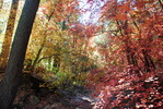 photo thumbnail #3