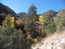photo thumbnail #10