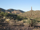 photo thumbnail #1