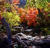 photo thumbnail #3