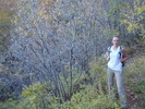 photo thumbnail #1