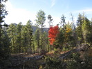 photo thumbnail #9