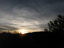 photo thumbnail #15