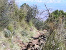 photo thumbnail #3