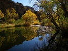 photo thumbnail #8