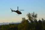 photo thumbnail #10