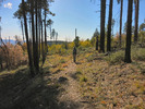 photo thumbnail #8