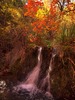 photo thumbnail #9