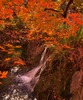 photo thumbnail #10
