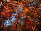 photo thumbnail #13