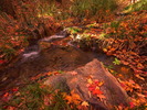 photo thumbnail #14