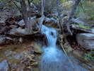 photo thumbnail #15