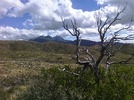 photo thumbnail #3