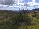 photo thumbnail #4