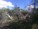 photo thumbnail #7
