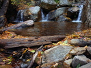 photo thumbnail #11