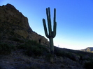 photo thumbnail #6