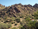 photo thumbnail #4