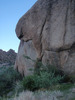 photo thumbnail #12