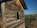 photo thumbnail #2
