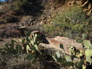 photo thumbnail #11